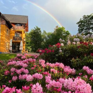 biuro turystyczne szklarska poręba, biuro podróży szklarska poręba, wydarzenia, kobieta, kobiecy weekend, kobieta karkonosze, pensjonat olympia, olympia przesieka, weekend w karkonoszach, karkonosze przesieka, wydarzenia karkonosze, góry, relaks, spa, weekend, impreza, zabawa, wycieczki praga, wycieczki z przewodnikiem, usługi przewozowe, wycieczki szklarska poręba praga, wycieczki skalne miasto, wycieczki drezno, wycieczki saksonia szklarska poreba, noclegi, hotele, pensjonaty, miśnia, wiedeń, saksonia, wycieczki jednodniowe szklarska poreba, karkonosze, wynajem autokarów, busów, sklep regionalny, keukenhof, keukenhof holandia, ogród keukenhof, holandia amsterdam polska, wycieczka do pragi, biura szklarska poreba opinie, najlepsze biuro turystytyczne, najlepsze biuro podróży szklarska, wycieczki jednodniowe ze szklarskiej, wycieczki kilkudniowe, wycieczka ze szklarskiej poręby, holiday park, wycieczki rodzinne, transport, przewozy, emilia szyszkowska, weekend kobiet w górach, weekend spa, weekend dla kobiet, weekend w górach, prezent dla kobiety, mentoring dla kobiet, coaching dla kobiet, rozwój osobisty kobieta, zmiana w życiu, warsztaty dla kobiet, realizacja celów, spełnianie marzeń, kobieca inspiracja, kobieca moc, lumina learning, ustawienia hellingerowskie, ustawienia systemowe