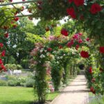 biuro turystyczne szklarska poręba, biuro podróży szklarska poręba, lato, ogród, róże, wycieczki niemcy, wycieczki z przewodnikiem, usługi przewozowe, wycieczki szklarska poręba praga, wycieczki skalne miasto, wycieczki drezno, wycieczki saksonia szklarska poreba, noclegi, hotele, pensjonaty, miśnia, wiedeń, szwajcaria saksońska, saksonia, wycieczki jednodniowe szklarska poreba, karkonosze, wynajem autokarów, busów, sklep regionalny, keukenhof, keukenhof holandia, ogród keukenhof, holandia amsterdam polska, wycieczka do pragi, biura szklarska poreba opinie, najlepsze biuro turystytyczne, najlepsze biuro podróży szklarska, wycieczki jednodniowe ze szklarskiej, wycieczki kilkudniowe, wycieczka z wrocławia, holiday park, wycieczki rodzinne, transport, przewozy