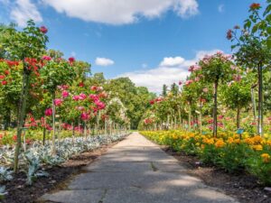 biuro turystyczne szklarska poręba, biuro podróży szklarska poręba, lato, ogród, róże, wycieczki niemcy, wycieczki z przewodnikiem, usługi przewozowe, wycieczki szklarska poręba praga, wycieczki skalne miasto, wycieczki drezno, wycieczki saksonia szklarska poreba, noclegi, hotele, pensjonaty, miśnia, wiedeń, szwajcaria saksońska, saksonia, wycieczki jednodniowe szklarska poreba, karkonosze, wynajem autokarów, busów, sklep regionalny, keukenhof, keukenhof holandia, ogród keukenhof, holandia amsterdam polska, wycieczka do pragi, biura szklarska poreba opinie, najlepsze biuro turystytyczne, najlepsze biuro podróży szklarska, wycieczki jednodniowe ze szklarskiej, wycieczki kilkudniowe, wycieczka z wrocławia, holiday park, wycieczki rodzinne, transport, przewozy