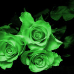 biuro turystyczne szklarska poręba, biuro podróży szklarska poręba, lato, ogród, róże, wycieczki niemcy, wycieczki z przewodnikiem, usługi przewozowe, wycieczki szklarska poręba praga, wycieczki skalne miasto, wycieczki drezno, wycieczki saksonia szklarska poreba, noclegi, hotele, pensjonaty, miśnia, wiedeń, szwajcaria saksońska, saksonia, wycieczki jednodniowe szklarska poreba, karkonosze, wynajem autokarów, busów, sklep regionalny, keukenhof, keukenhof holandia, ogród keukenhof, holandia amsterdam polska, wycieczka do pragi, biura szklarska poreba opinie, najlepsze biuro turystytyczne, najlepsze biuro podróży szklarska, wycieczki jednodniowe ze szklarskiej, wycieczki kilkudniowe, wycieczka z wrocławia, holiday park, wycieczki rodzinne, transport, przewozy