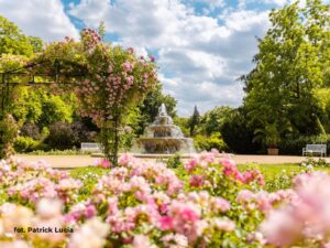 biuro turystyczne szklarska poręba, biuro podróży szklarska poręba, lato, ogród, róże, wycieczki niemcy, wycieczki z przewodnikiem, usługi przewozowe, wycieczki szklarska poręba praga, wycieczki skalne miasto, wycieczki drezno, wycieczki saksonia szklarska poreba, noclegi, hotele, pensjonaty, miśnia, wiedeń, szwajcaria saksońska, saksonia, wycieczki jednodniowe szklarska poreba, karkonosze, wynajem autokarów, busów, sklep regionalny, keukenhof, keukenhof holandia, ogród keukenhof, holandia amsterdam polska, wycieczka do pragi, biura szklarska poreba opinie, najlepsze biuro turystytyczne, najlepsze biuro podróży szklarska, wycieczki jednodniowe ze szklarskiej, wycieczki kilkudniowe, wycieczka z wrocławia, holiday park, wycieczki rodzinne, transport, przewozy