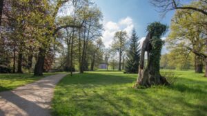 biuro turystyczne szklarska poręba, biuro podróży szklarska poręba, bad muskau, kromlau, wycieczki praga, wycieczki z przewodnikiem, usługi przewozowe, wycieczki szklarska poręba praga, wycieczki skalne miasto, wycieczki drezno, wycieczki saksonia szklarska poreba, miśnia, wiedeń, saksonia, wycieczki jednodniowe szklarska poreba, karkonosze, wynajem autokarów, busów, wycieczka do pragi, biura szklarska poreba opinie, najlepsze biuro turystytyczne, najlepsze biuro podróży szklarska, wycieczki jednodniowe ze szklarskiej, wycieczki kilkudniowe, wycieczka ze szklarskiej poręby, wycieczki rodzinne, transport, przewozy